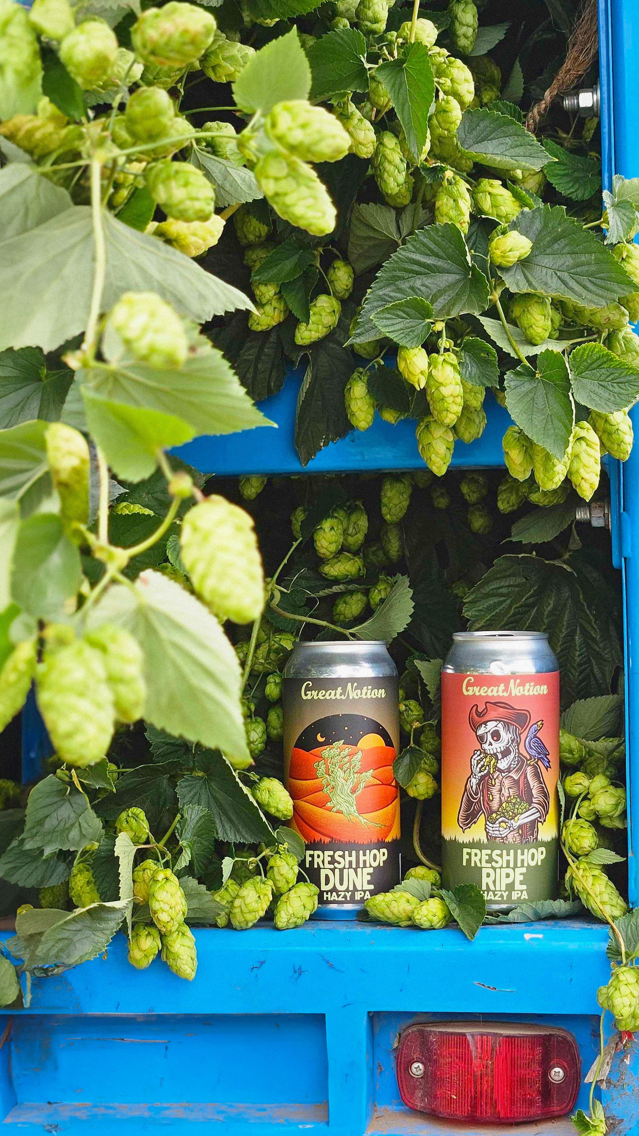 Great Notion