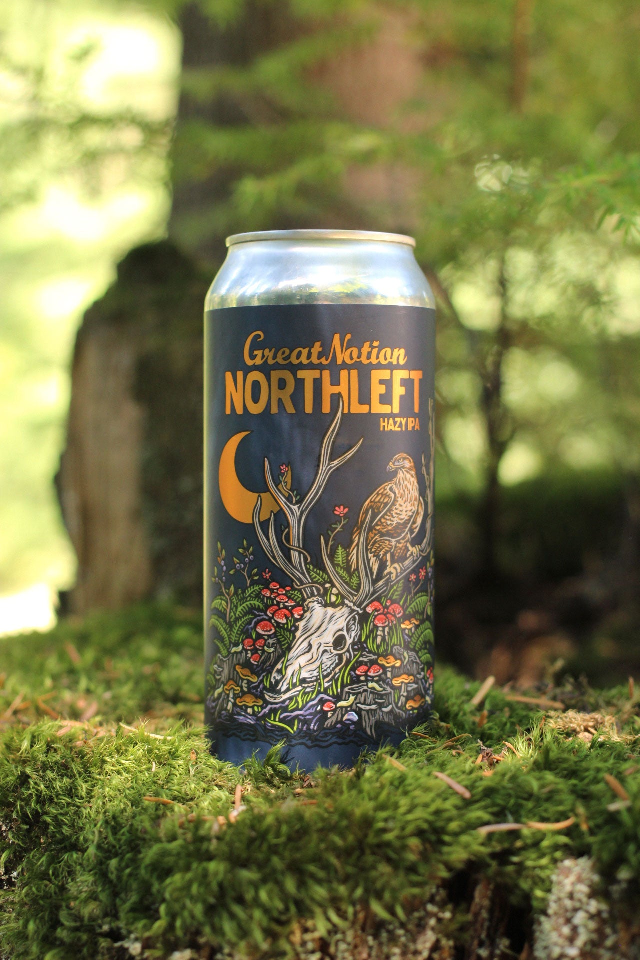 Great Notion - Division