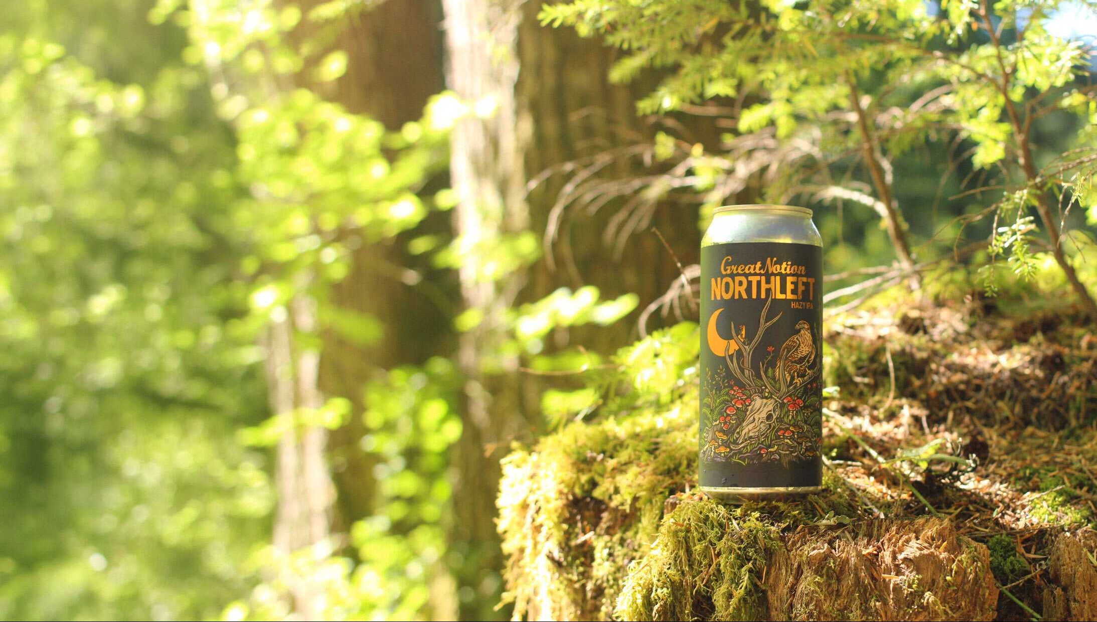 Great Notion - Division